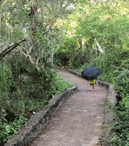 A little girl with an umbrella in the Galapagos